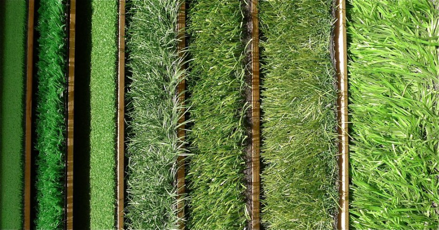 Grass. Philip Shalam Photography