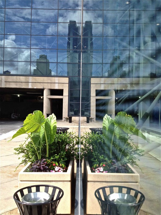Javits Reflection 2
