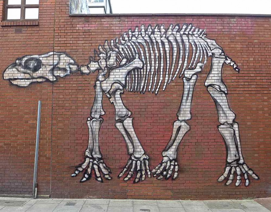 Dog Art 