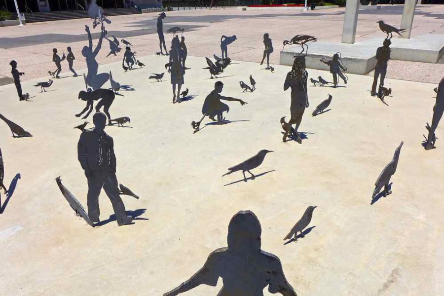 Birds 