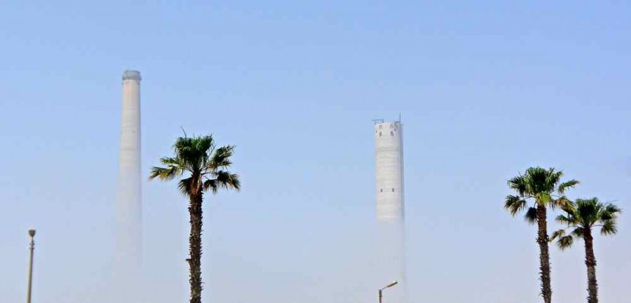 industrial Oasis