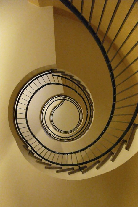Looking Up 