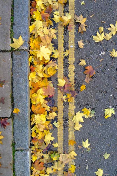 Double Yellow 