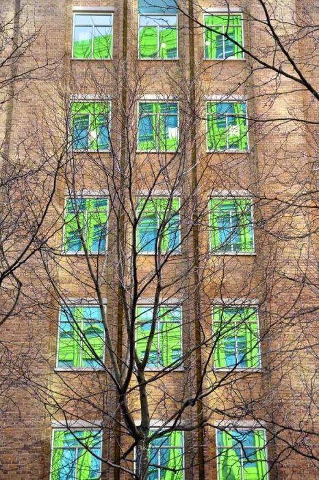 Green Branches 
