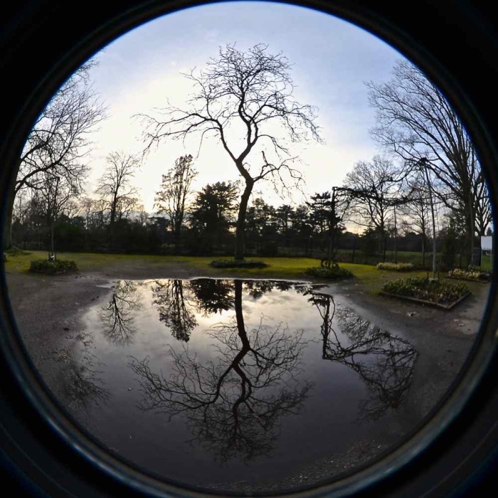 Winter reflection