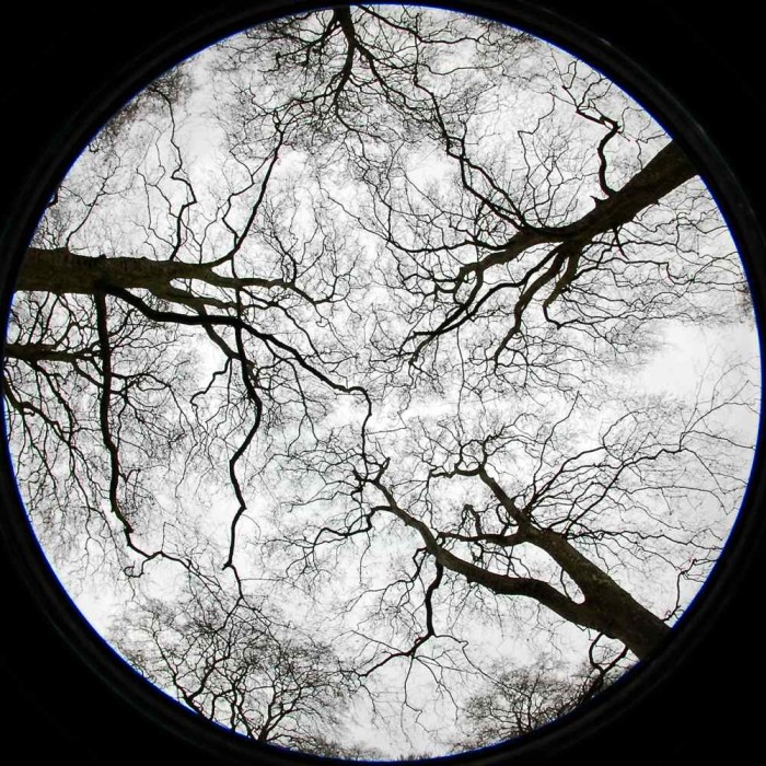 Intertwined 