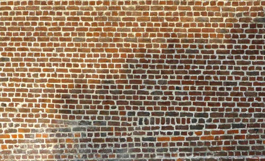 Trees Reflected on Brick Wall