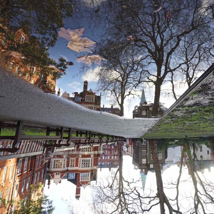 Mount Street Gardens Puddle View Reflection