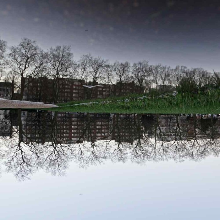 Hyde Park Puddle Reflection 