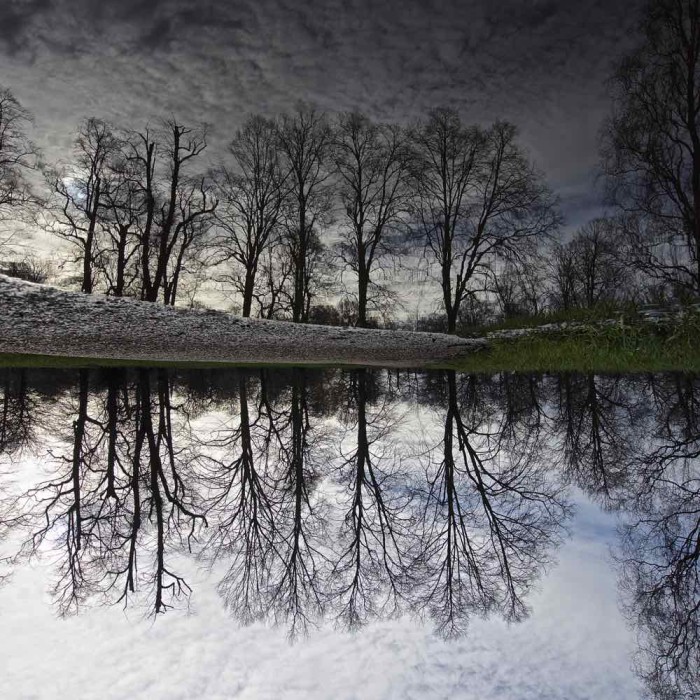 Kensington Gardens Puddle Reflection