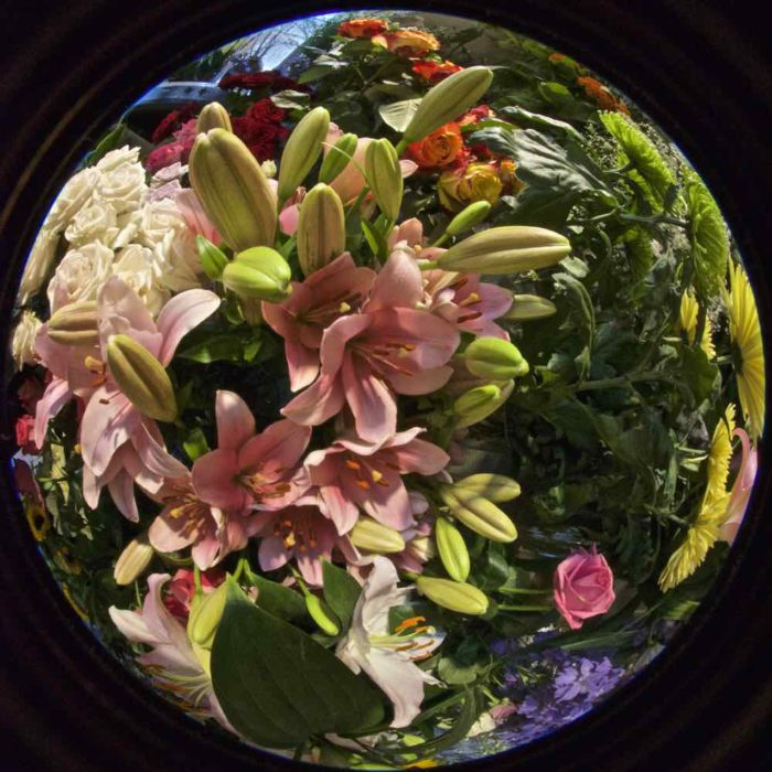 Flower Fisheye