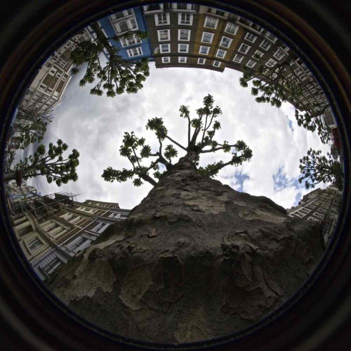 Ladbroke Grove Fisheye